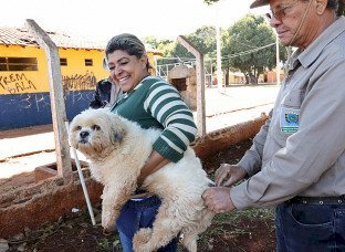 Vacinação antirrábica segue na área rural nesta semana; veja os locais