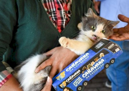 Dourados e MS abrem agendamento da castração dos pets nos dias 1 e 2 de novembro