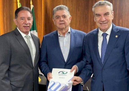 Parecer do TCE aprova contas do Governo de 2024