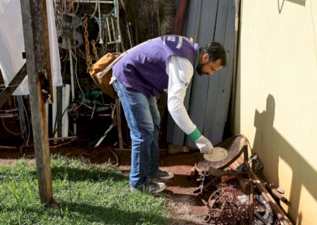 Dourados registra aumento de casos e dengue e intensifica ações preventivas