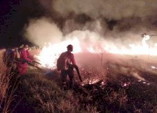Atuação do Corpo de Bombeiros contribui para controle de incêndio em parque estadual
