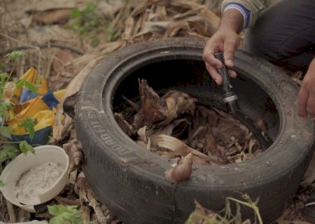 Boletim epidemiológico mostra que MS já registrou 8.252 casos confirmados de dengue