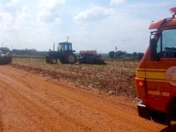 Homem morre após ser picado por abelhas quando plantava soja em Fátima do Sul