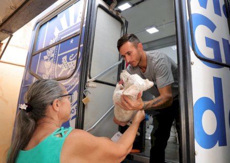 Tutores devem levar animais em jejum para castração; veja todos os cuidados