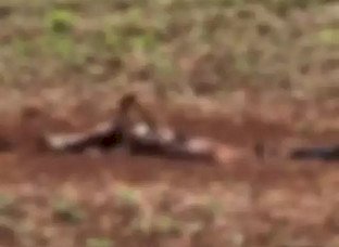 Corpo é encontrado enterrado em distrito da fronteira com o Paraguai