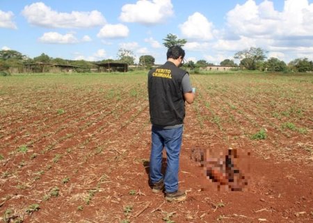 Homem confessa assassinato e ocultação de corpo no distrito Nova Itamarati