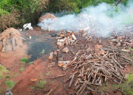 Homem é multado e carvoaria ilegal fechada em área urbana de Coronel Sapucaia