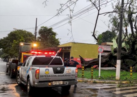 Rajada de vento derruba árvores e destelha casas em Dourados