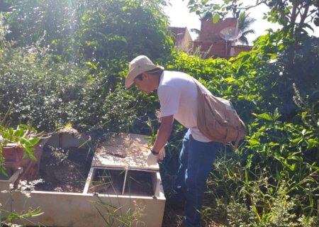 Saúde alerta sobre combate à dengue diante das chuvas constantes em Dourados