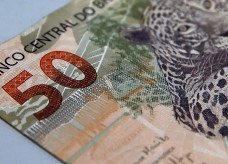 Fundações sem fins lucrativos pagam salários maiores que empresas