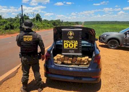 Polícia apreende 256 kg de maconha em HB20 e prende homem em Dourados