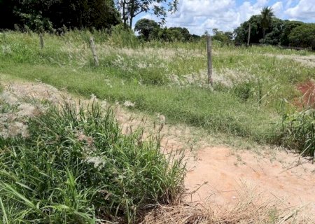 Proprietários que não cuidam terrenos são autuados