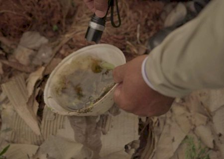 Mato Grosso do Sul confirma 2 casos de dengue no início de 2026