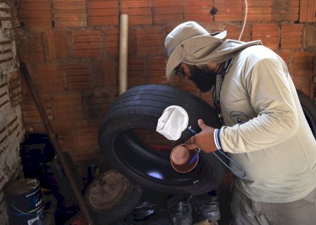 Boletim Epidemiológico: MS registra 79 casos confirmados de dengue