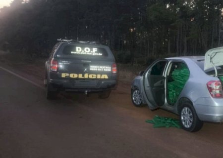 Foragido da Justiça é capturado com 1 tonelada de drogas na MS-289