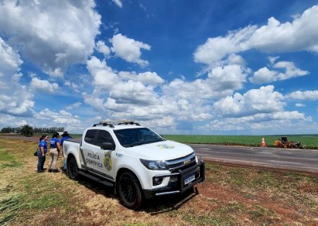 Vai viajar para curtir a folia? Especialistas reforçam orientações para quem vai pegar a estrada