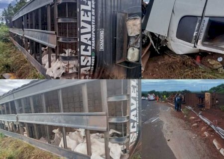 Motorista tomba carreta boiadeira e morre esmagado na cabine em Três Lagoas