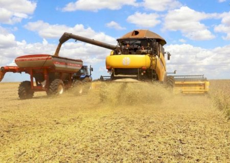 Produção da soja tem previsão de novo recorde na série histórica em 2026