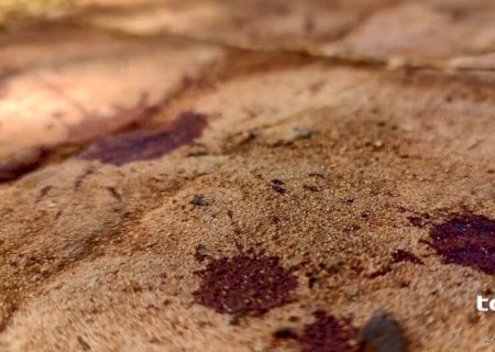 Suspeito de roubar televisão é esfaqueado e fica com vísceras expostas no Coronel Antonino