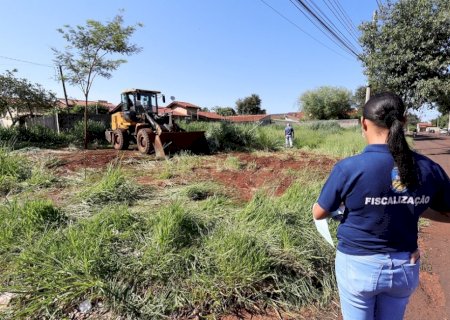 Prefeitura inicia limpeza de terrenos baldios após descumprimento de notificações