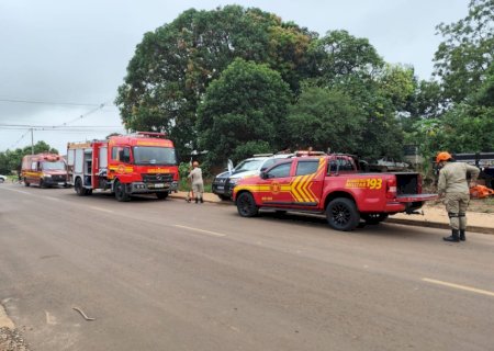 Veja o vídeo: jovem sobe em árvore para fugir da polícia e precisa ser resgatado pelo Bombeiro