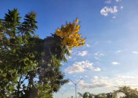 Dia ensolarado e temperatura máxima de 33ºC em Dourados