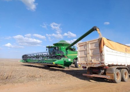 Crédito rural cai 46% em MS e produtor prioriza manter a lavoura