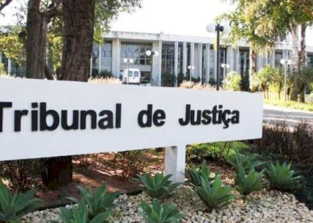 TJ condena acusado de matar gata 'Xispita' a 2 anos e 8 meses