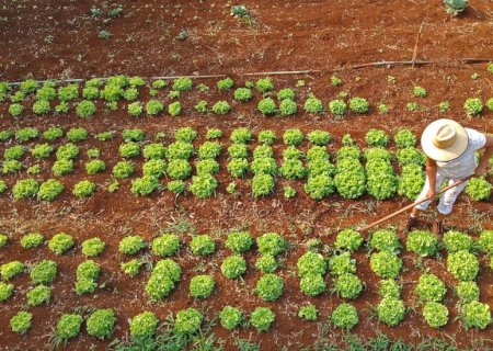 Agraer fortalece acesso ao crédito rural em projetos que abrem oportunidades a quem trabalha no campo