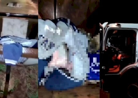 Adolescente deve se apresentar à polícia em caso de bebê encontrado morto em lixeira em Ponta Porã