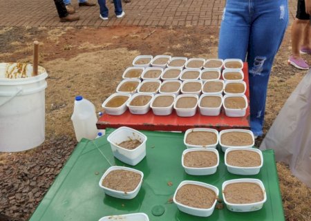 Receita Federal e Uems dão destino sustentável a alimentos apreendidos em MS