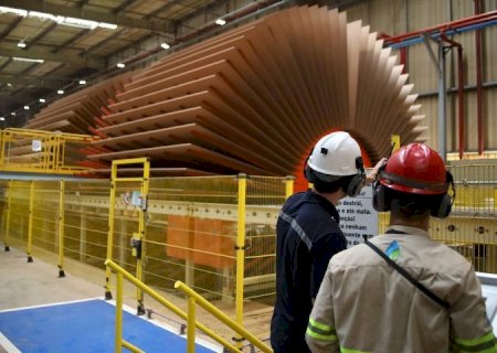 Com saldo de 6.157 empregos, MS tem melhor desempenho em 12 meses