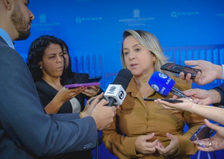 Assembleia reconhece  calamidade pública e reforça urgência no enfrentamento à epidemia de chikungunya em Dourados