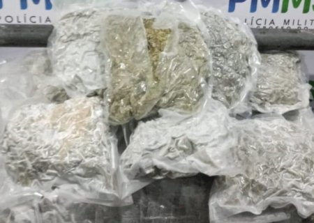 Rapaz é preso tentando embarcar com skunk em terminal rodoviário