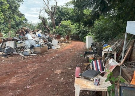 Homem é preso após invadir terreno e implantar chiqueiro em área pública