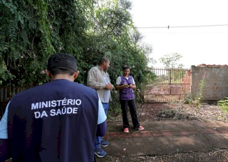 Prefeitura vistoria mais 1.428 imóveis e identifica 5 focos de Chikungunya