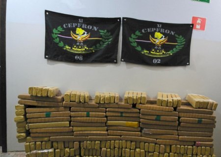 Polícia apreende quase 300 quilos de maconha em Nova Andradina