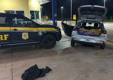 Mulher é presa com mais de 420 quilos de maconha na BR-262