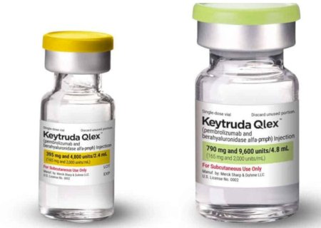 Keytruda: saiba como identificar qual o lote de produtos falsificados