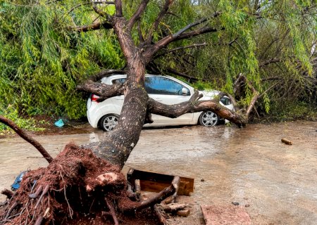 Show é cancelado e árvores derrubadas após passagem de temporal com granizo em Dourados