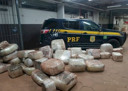 Caminhoneiro demonstra nervosismo e acaba preso com 550 kg de skunk e 33 kg de cocaína