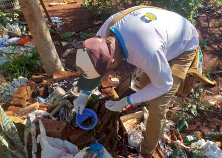 Prefeitura vistoria mais 1.288 imóveis e encontra 4 focos do Aedes aegypti