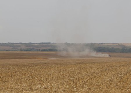 Estudo propõe avanços na rastreabilidade ambiental da soja e da carne