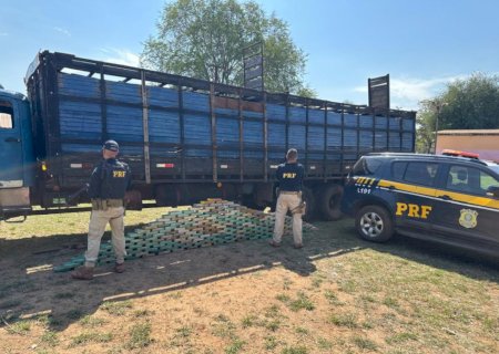 PRF apreende 195 quilos de cocaína em caminhão de transporte de bois