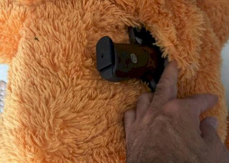 Pistola é encontrada dentro de bicho de pelúcia durante operação que prendeu cinco