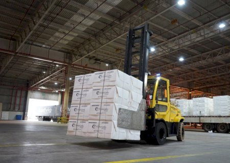 Exportações de Mato Grosso do Sul chegam a US$ 7,2 bilhões até julho