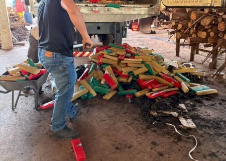 Mais de 12 toneladas de drogas são incineradas em MS