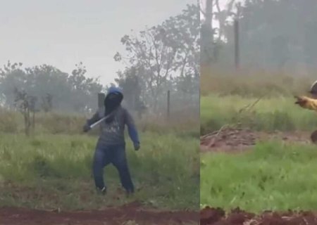 (Vídeo) Grupo invade fazenda, joga pedras em carros e derruba drone durante ação em Dourados