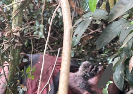 Corpo em avançado estado de decomposição é encontrado em fazenda na zona rural de Caarapó