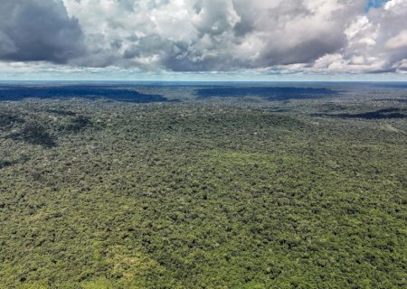 Reino Unido anuncia 400 milhões de libras para Fundo Florestas Tropicais